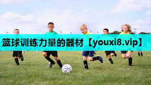 篮球训练力量的器材