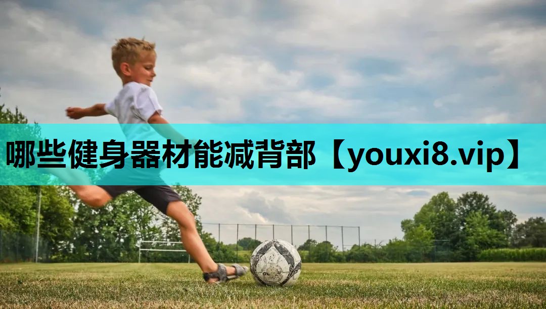 哪些健身器材能减背部