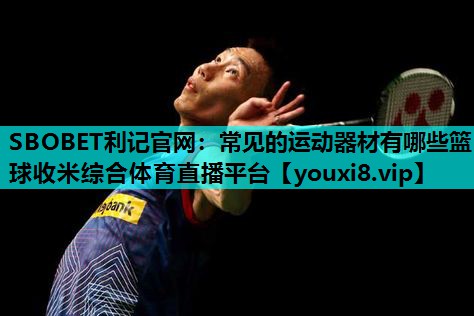 SBOBET利记官网：常见的运动器材有哪些篮球收米综合体育直播平台