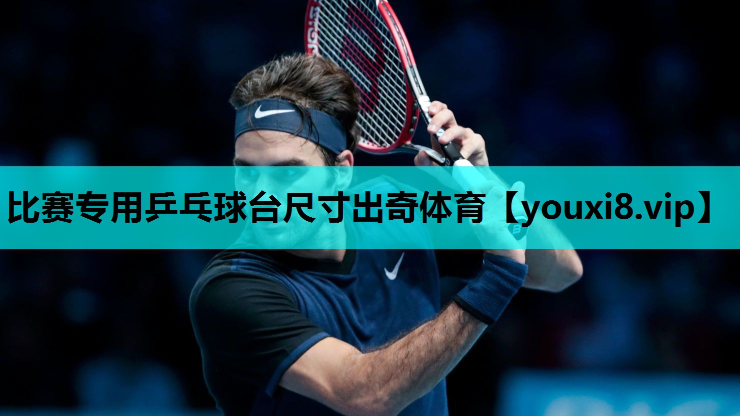 比赛专用乒乓球台尺寸出奇体育