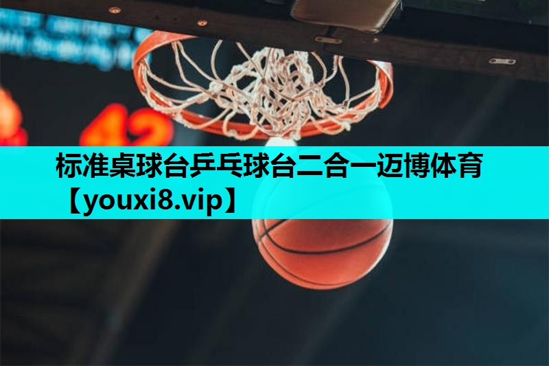 标准桌球台乒乓球台二合一迈博体育