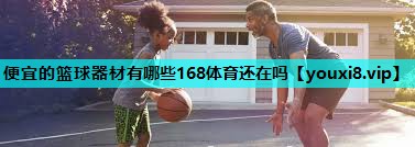 便宜的篮球器材有哪些168体育还在吗