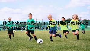 利记sbobet官方网站入口：便宜好用的乒乓球台光速体育在线直播