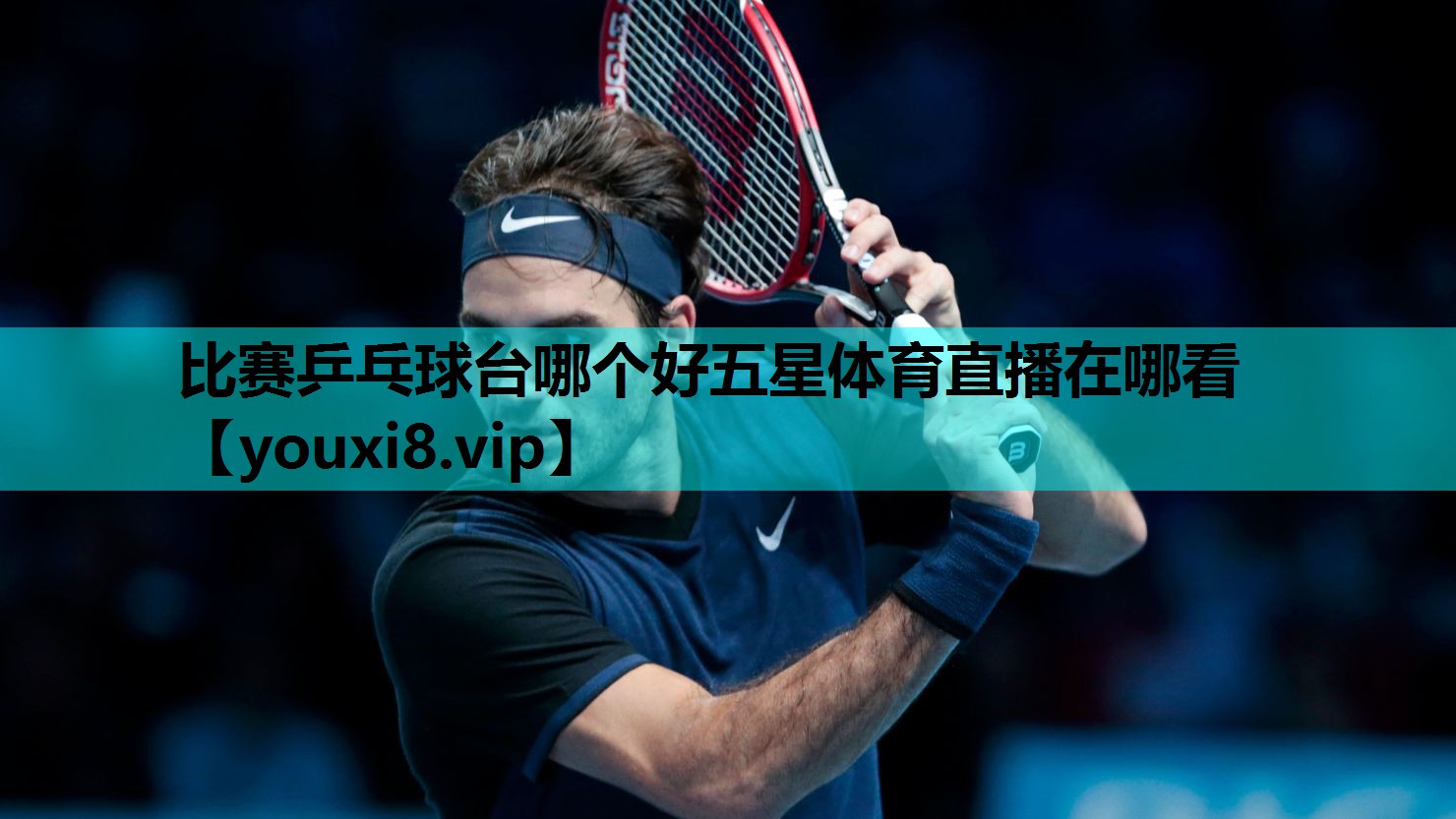 比赛乒乓球台哪个好五星体育直播在哪看