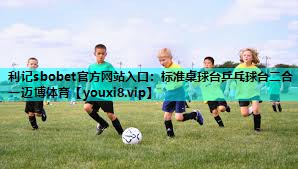 利记sbobet官方网站入口：标准桌球台乒乓球台二合一迈博体育