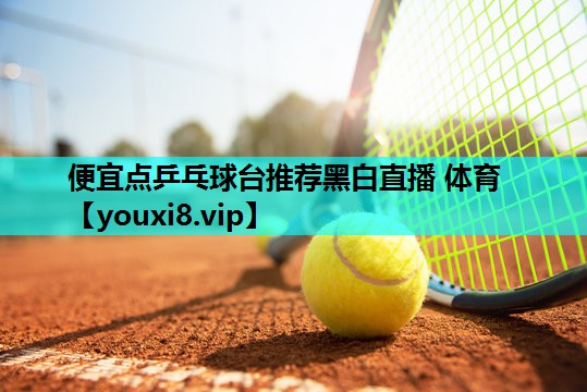 便宜点乒乓球台推荐黑白直播 体育