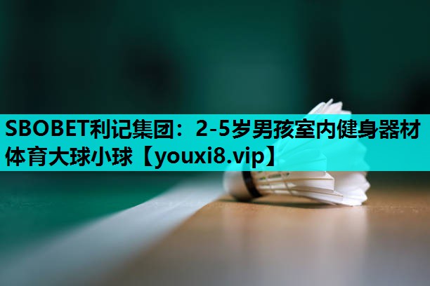 SBOBET利记集团：2-5岁男孩室内健身器材体育大球小球