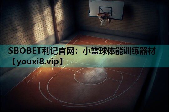 小篮球体能训练器材 小篮球体能训练器材