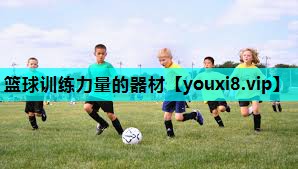 篮球训练力量的器材 篮球训练力量的器材
