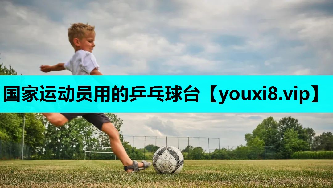 国家运动员用的乒乓球台 国家运动员用的乒乓球台