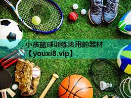 小孩篮球训练该用的器材 小孩篮球训练该用的器材