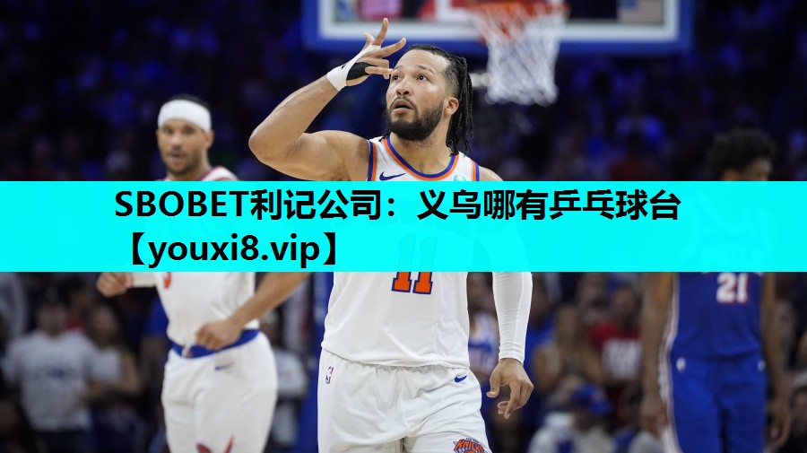 义乌哪有乒乓球台 义乌哪有乒乓球台