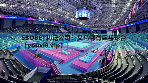 义乌哪有乒乓球台 义乌哪有乒乓球台