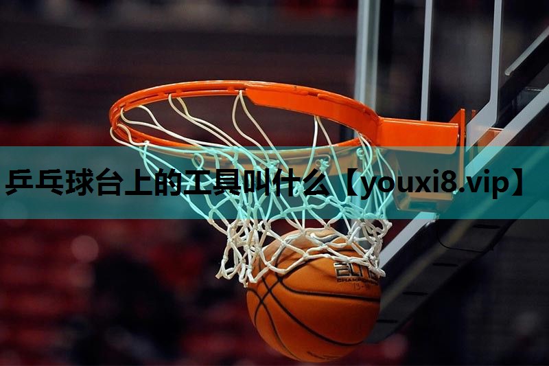 乒乓球台上的工具叫什么 乒乓球台上的工具叫什么