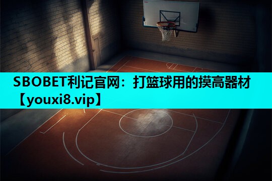 打篮球用的摸高器材 打篮球用的摸高器材