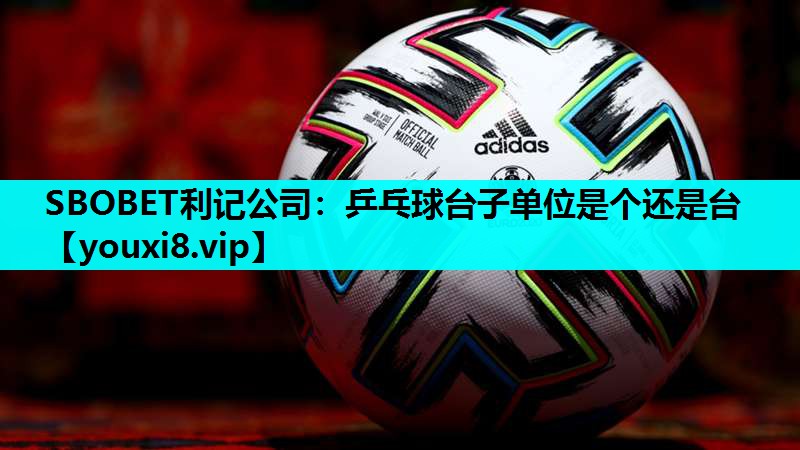 乒乓球台子单位是个还是台 乒乓球台子单位是个还是台