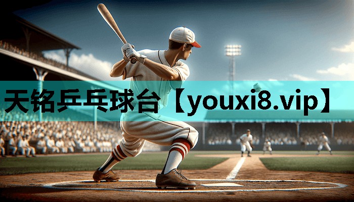 天铭乒乓球台 天铭乒乓球台