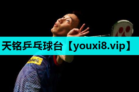 天铭乒乓球台 天铭乒乓球台